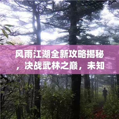 風雨江湖全新攻略揭秘，決戰(zhàn)武林之巔，未知探險等你來挑戰(zhàn)！