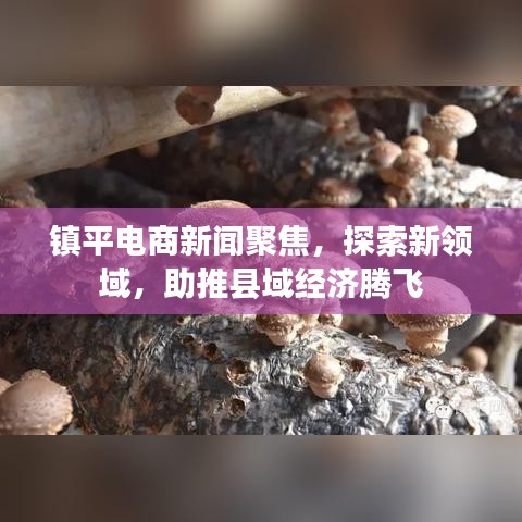 鎮(zhèn)平電商新聞聚焦，探索新領(lǐng)域，助推縣域經(jīng)濟騰飛