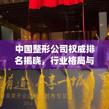 中國(guó)整形公司權(quán)威排名揭曉，行業(yè)格局與領(lǐng)軍力量深度解讀