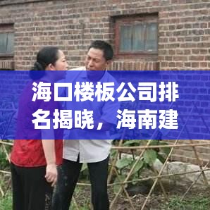 ?？跇前骞九琶視?，海南建筑行業(yè)佼佼者解讀