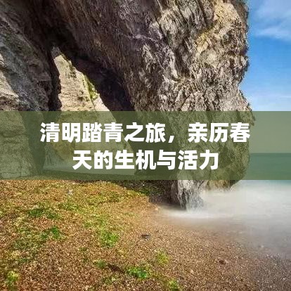 綱舉目張 第4頁