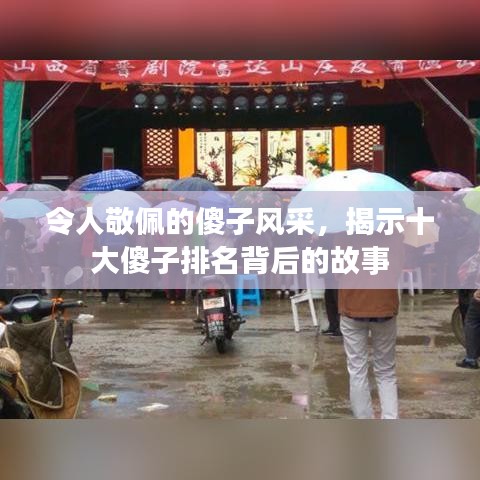 令人敬佩的傻子風(fēng)采，揭示十大傻子排名背后的故事