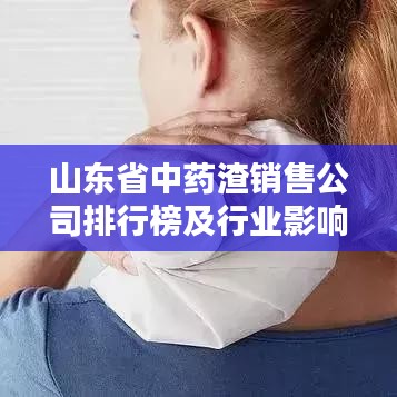 山東省中藥渣銷售公司排行榜及行業(yè)影響力深度解析