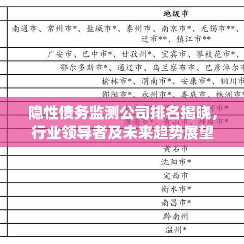 隱性債務(wù)監(jiān)測公司排名揭曉，行業(yè)領(lǐng)導(dǎo)者及未來趨勢展望