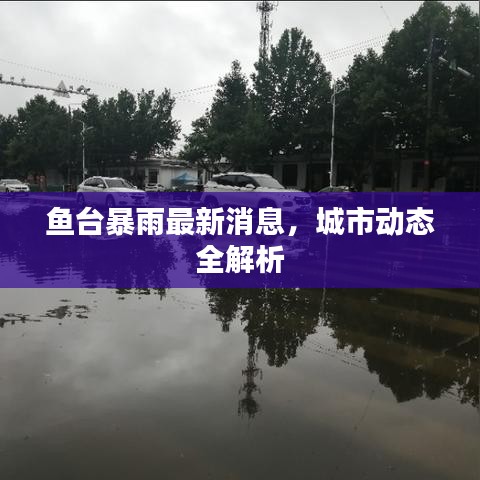 魚臺暴雨最新消息，城市動態(tài)全解析
