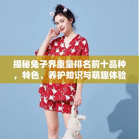 揭秘兔子界重量排名前十品種，特色、養(yǎng)護(hù)知識(shí)與萌趣體驗(yàn)