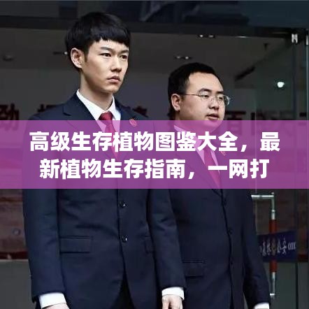 還淳反樸 第4頁(yè)