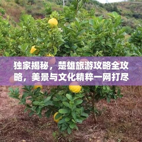 七嘴八張 第4頁
