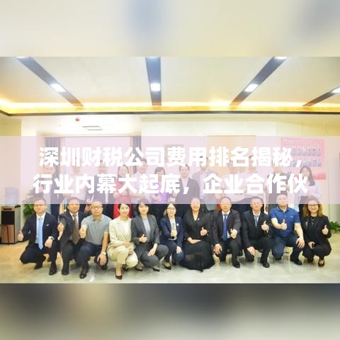 深圳財(cái)稅公司費(fèi)用排名揭秘，行業(yè)內(nèi)幕大起底，企業(yè)合作伙伴優(yōu)選指南