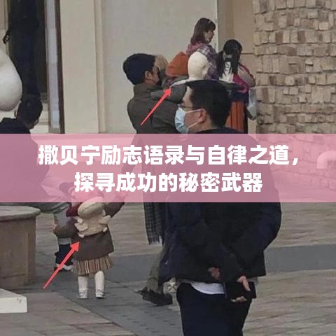 撒貝寧勵志語錄與自律之道，探尋成功的秘密武器