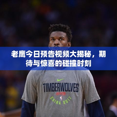 老鷹今日預告視頻大揭秘，期待與驚喜的碰撞時刻