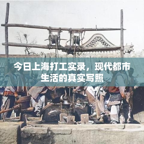 今日上海打工實錄，現(xiàn)代都市生活的真實寫照