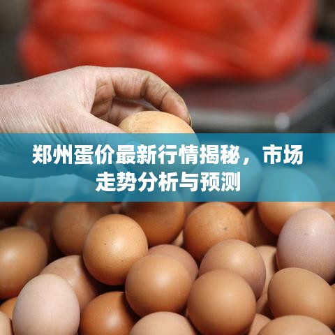 鄭州蛋價(jià)最新行情揭秘，市場(chǎng)走勢(shì)分析與預(yù)測(cè)