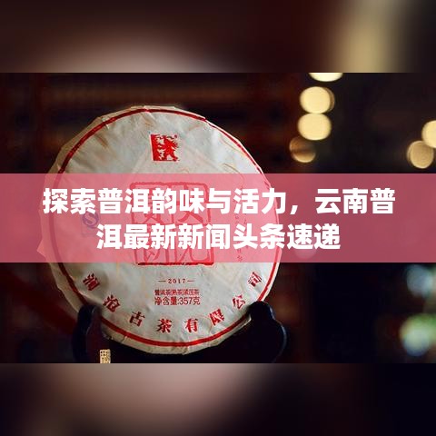 探索普洱韻味與活力，云南普洱最新新聞頭條速遞