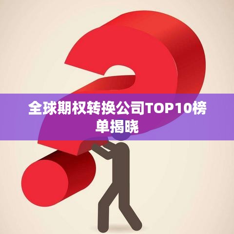 全球期權(quán)轉(zhuǎn)換公司TOP10榜單揭曉