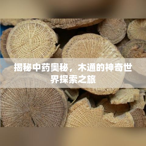 揭秘中藥奧秘，木通的神奇世界探索之旅
