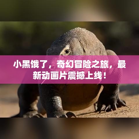 小黑餓了，奇幻冒險(xiǎn)之旅，最新動(dòng)畫片震撼上線！
