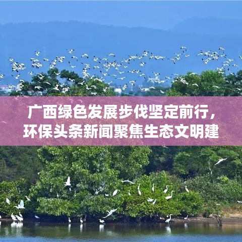 廣西綠色發(fā)展步伐堅(jiān)定前行，環(huán)保頭條新聞聚焦生態(tài)文明建設(shè)