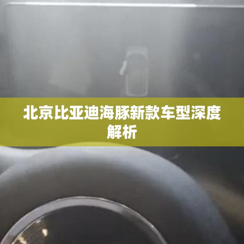 北京比亞迪海豚新款車型深度解析