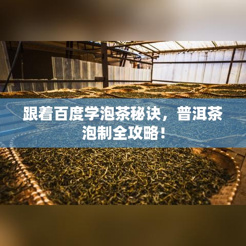 跟著百度學泡茶秘訣，普洱茶泡制全攻略！