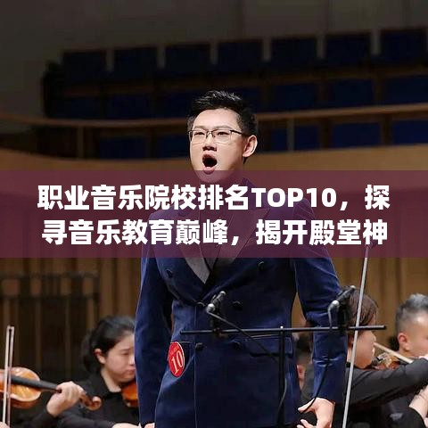 職業(yè)音樂院校排名TOP10，探尋音樂教育巔峰，揭開殿堂神秘面紗