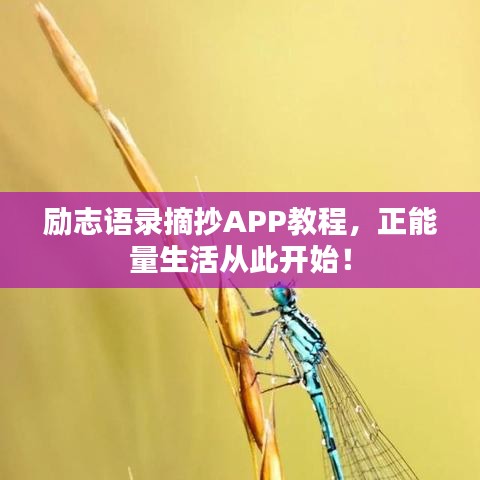 勵志語錄摘抄APP教程，正能量生活從此開始！