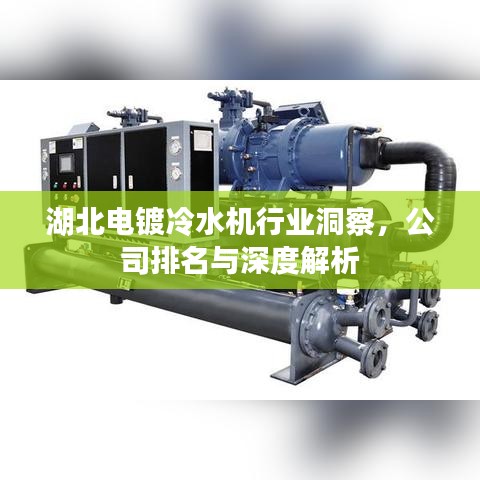 湖北電鍍冷水機行業(yè)洞察，公司排名與深度解析