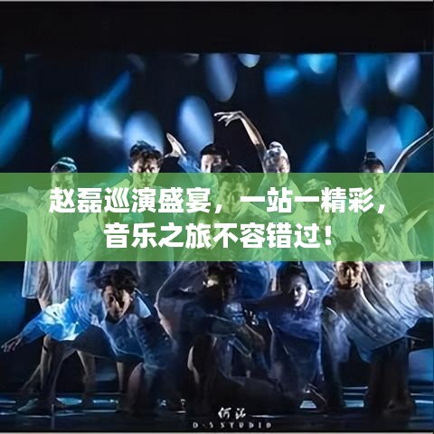 趙磊巡演盛宴，一站一精彩，音樂之旅不容錯過！