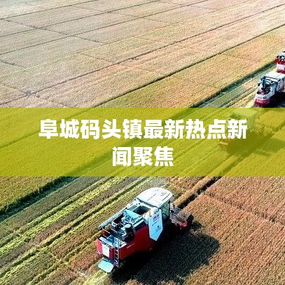 阜城碼頭鎮(zhèn)最新熱點(diǎn)新聞聚焦