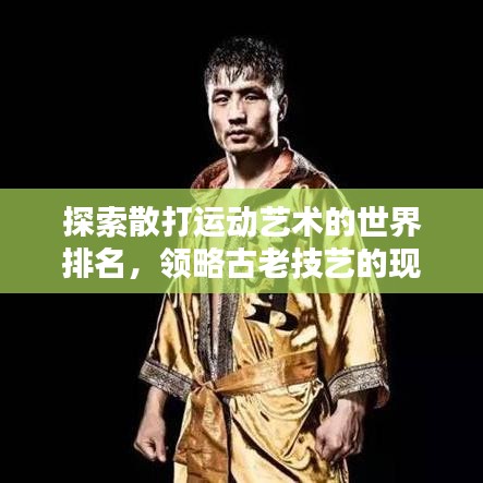探索散打運動藝術(shù)的世界排名，領略古老技藝的現(xiàn)代風采