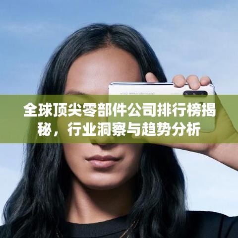 全球頂尖零部件公司排行榜揭秘，行業(yè)洞察與趨勢(shì)分析
