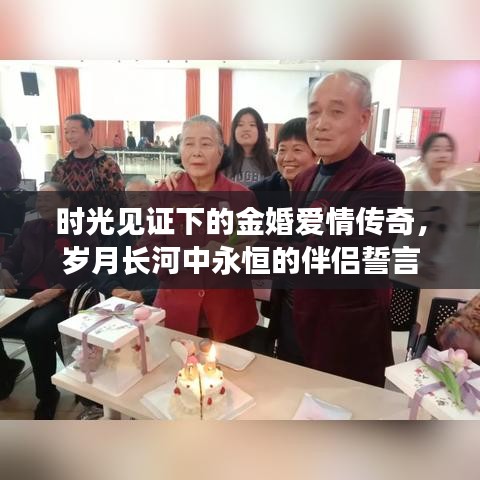 時光見證下的金婚愛情傳奇，歲月長河中永恒的伴侶誓言