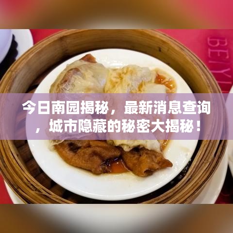 今日南園揭秘，最新消息查詢，城市隱藏的秘密大揭秘！