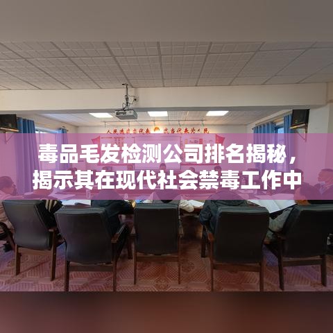 毒品毛發(fā)檢測公司排名揭秘，揭示其在現(xiàn)代社會禁毒工作中的關(guān)鍵作用