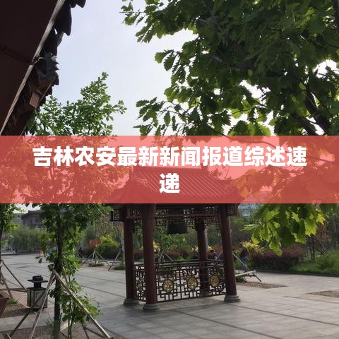 吉林農(nóng)安最新新聞報(bào)道綜述速遞