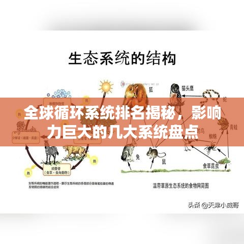 全球循環(huán)系統(tǒng)排名揭秘，影響力巨大的幾大系統(tǒng)盤點