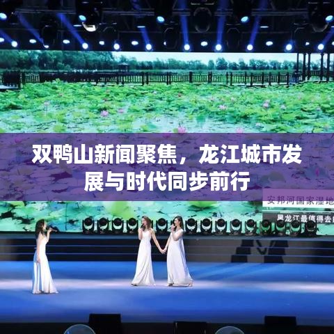 雙鴨山新聞聚焦，龍江城市發(fā)展與時代同步前行