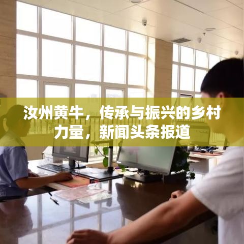 汝州黃牛，傳承與振興的鄉(xiāng)村力量，新聞?lì)^條報(bào)道