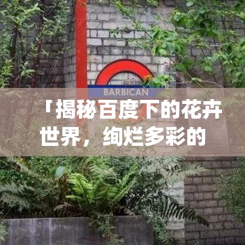 「揭秘百度下的花卉世界，絢爛多彩的花卉探秘之旅！」