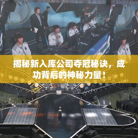 揭秘新入庫(kù)公司奪冠秘訣，成功背后的神秘力量！