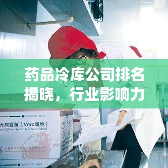 藥品冷庫(kù)公司排名揭曉，行業(yè)影響力深度解析