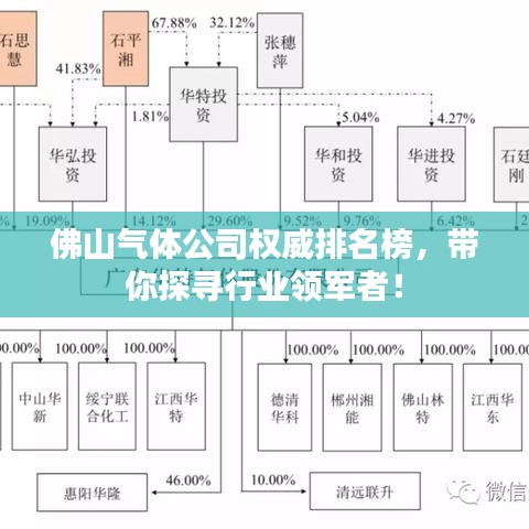 佛山氣體公司權(quán)威排名榜，帶你探尋行業(yè)領(lǐng)軍者！