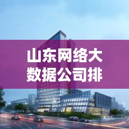 山東網(wǎng)絡(luò)大數(shù)據(jù)公司排名大揭秘，探尋行業(yè)佼佼者！