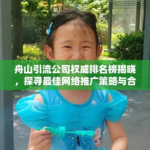 舟山引流公司權(quán)威排名榜揭曉，探尋最佳網(wǎng)絡(luò)推廣策略與合作伙伴選擇指南