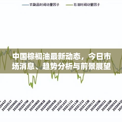中國(guó)棕櫚油最新動(dòng)態(tài)，今日市場(chǎng)消息、趨勢(shì)分析與前景展望