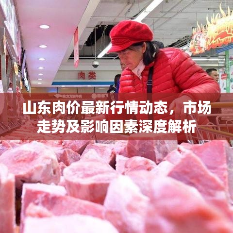 山東肉價最新行情動態(tài)，市場走勢及影響因素深度解析