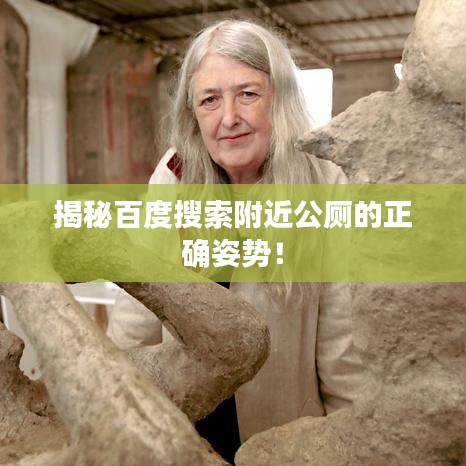 揭秘百度搜索附近公廁的正確姿勢！