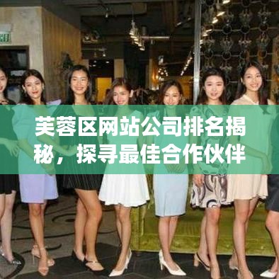 芙蓉區(qū)網(wǎng)站公司排名揭秘，探尋最佳合作伙伴，專業(yè)展示公司一覽無余！
