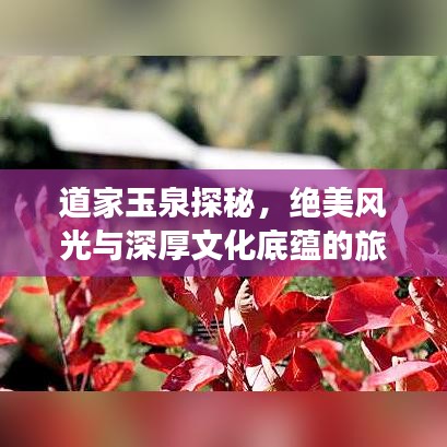 道家玉泉探秘，絕美風(fēng)光與深厚文化底蘊(yùn)的旅游攻略