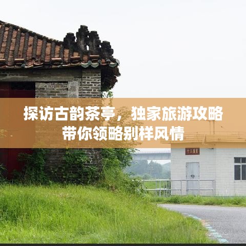 探訪古韻茶亭，獨家旅游攻略帶你領(lǐng)略別樣風情